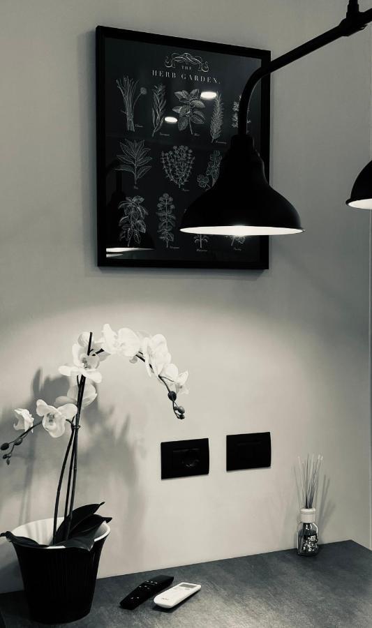 La Tana Del Ludo Apartment Baveno Bagian luar foto